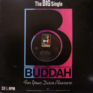 Andrea True Connection ‎– What's Your Name, What's Your Number / Fill Me Up (Heart To Heart)    12"