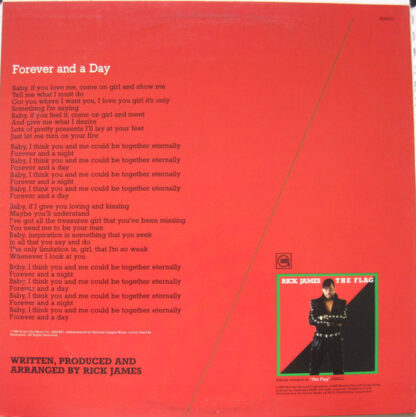 Rick James ‎– Forever And A Day      12" - Imagen 2
