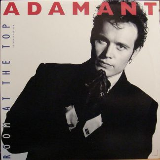 Adam Ant – Room At The Top (Extended Version)    12"