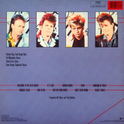 Mr. Mister – Welcome To The Real World     LP   Album - Imagen 2