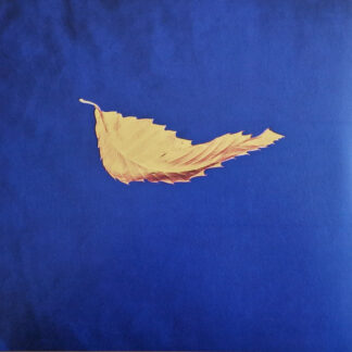 New Order – True Faith / 1963     12"   ( nuevo )