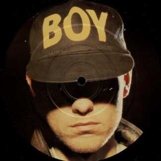 Pet Shop Boys – Love Comes Quickly     12", Single, 45 RPM, Picture Label   ( epoca )