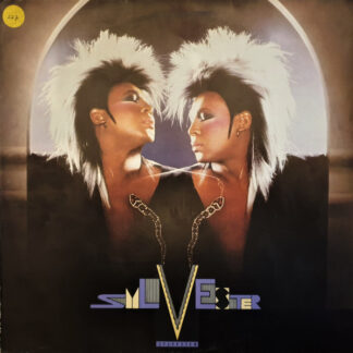 Sylvester – Someone Like You   Vinilo, 12", 33 ⅓ RPM   ( epoca )